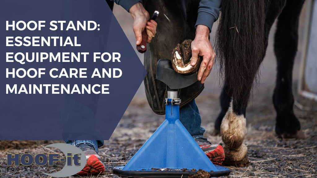 Hoof Stand: Essential Equipment for Hoof Care and Maintenance