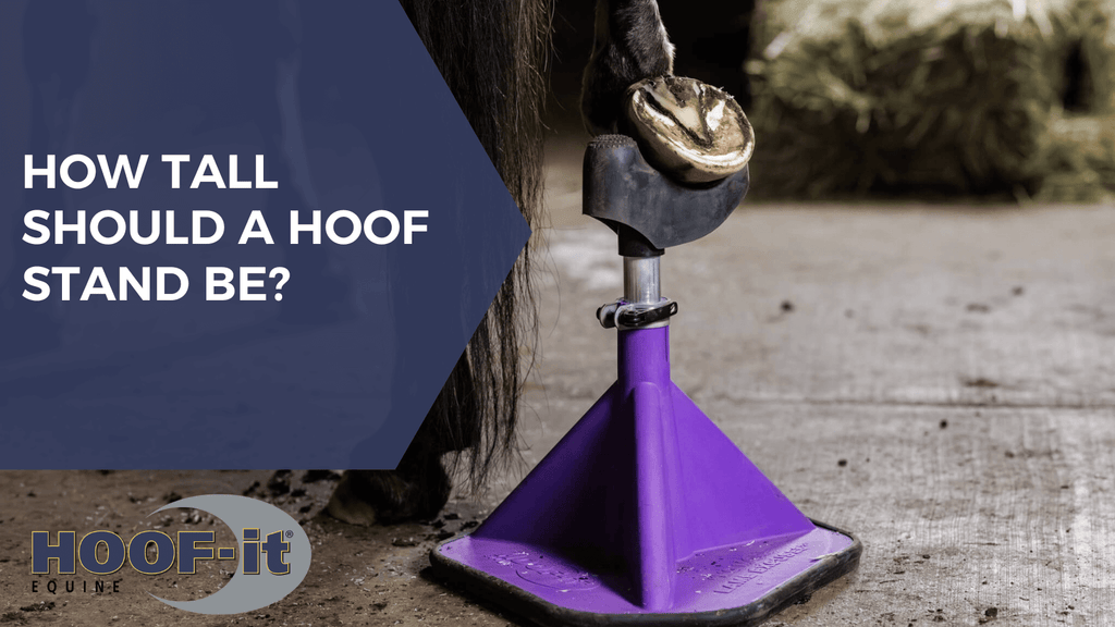 How Tall Should a Hoof Stand Be? Everything You Need to Know